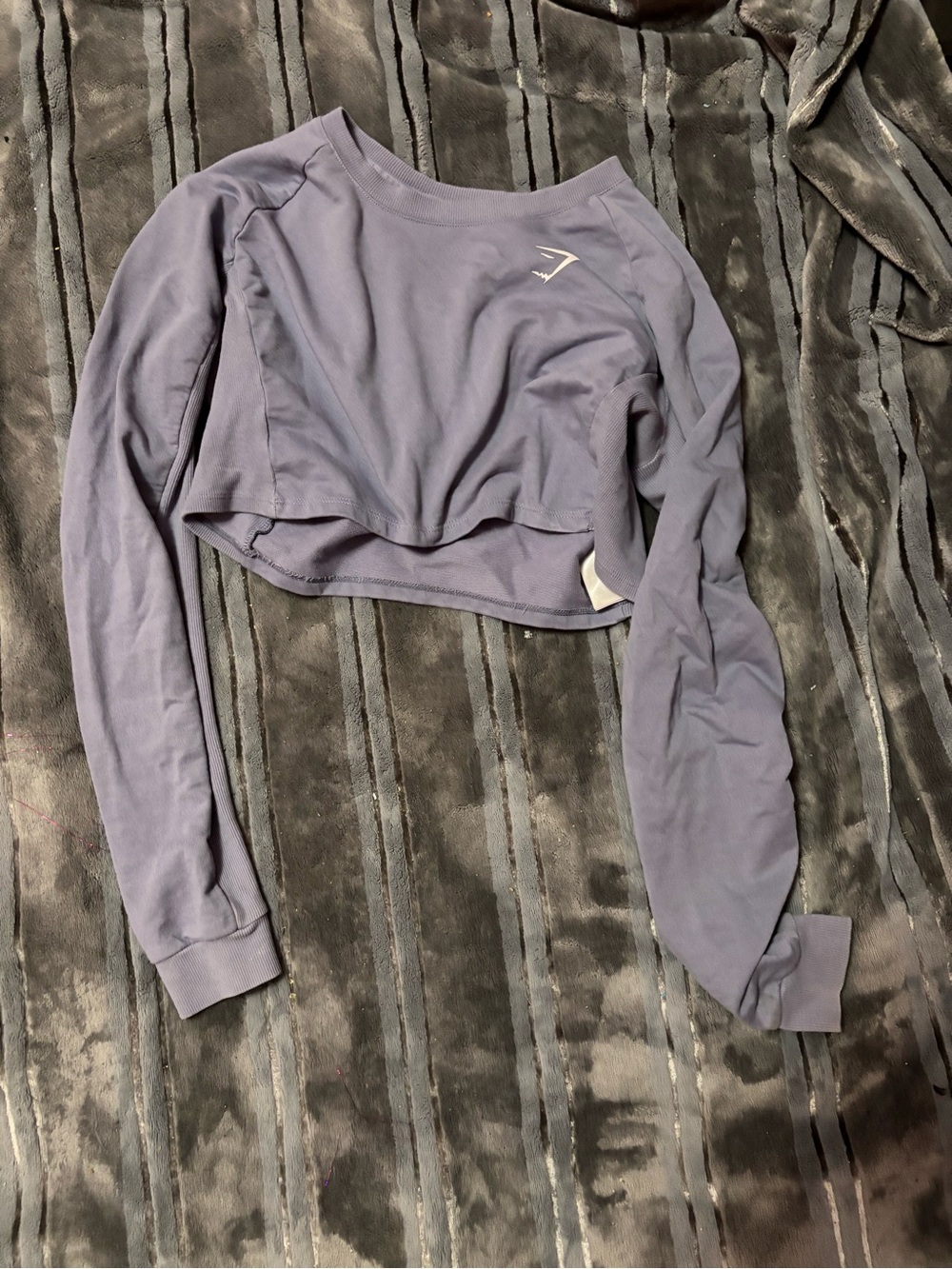 Gymshark Lavender-Blue Long-Sleeve Cropped Top